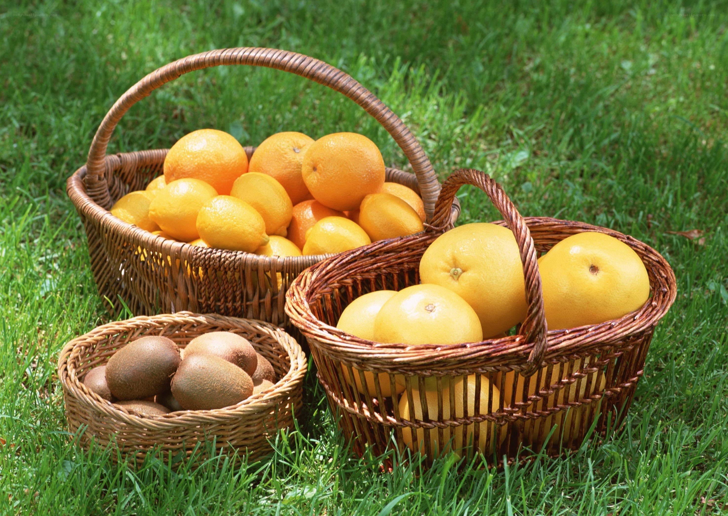Fruit baskets on grass