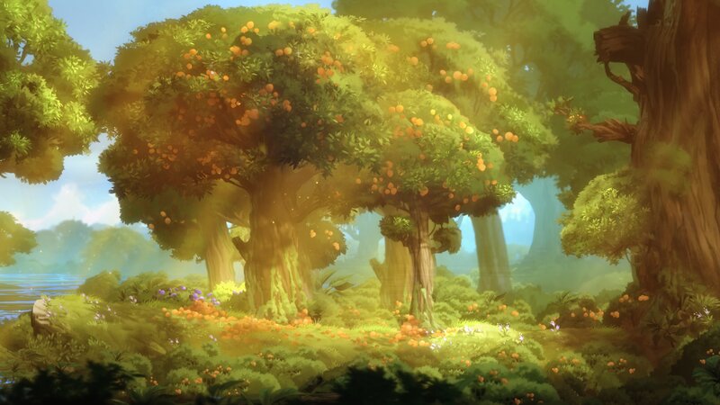 Fruit-bearing Trees in Forest
