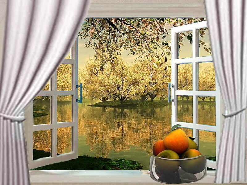 Fruit Bowl by Window