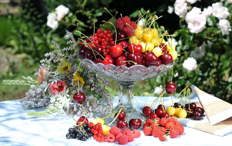 Fruit Bowl on Table — Red