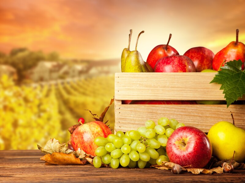Fruit Crate in Vineyard
