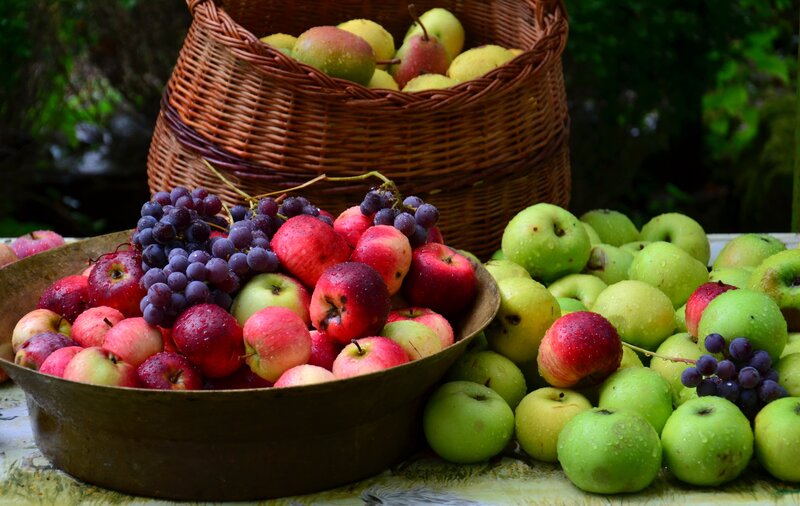 Fruit Harvest in Baskets