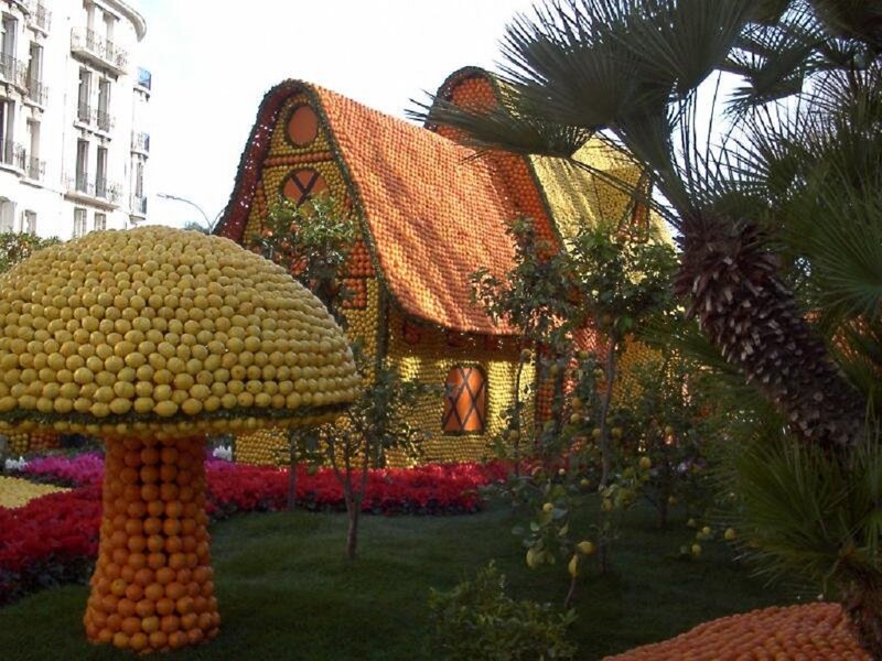 Fruit House and Mushroom