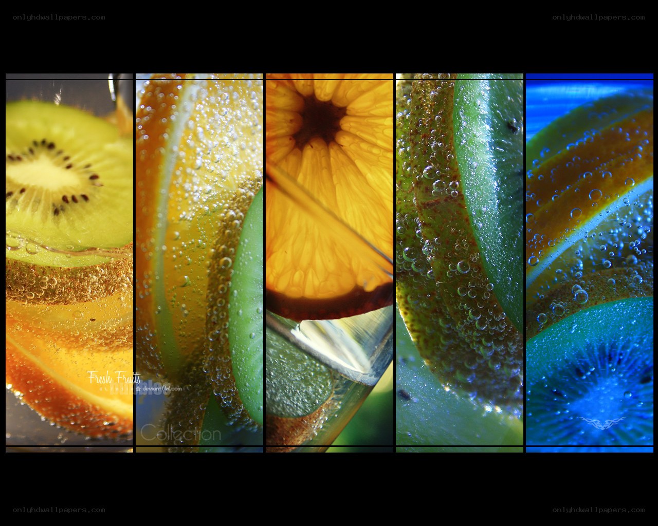 Fruit in Sparkling Water Collection