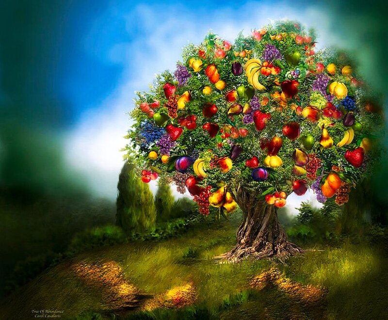Fruit-laden Tree — Green, Serene