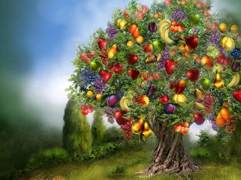 Fruit-laden Tree — Green