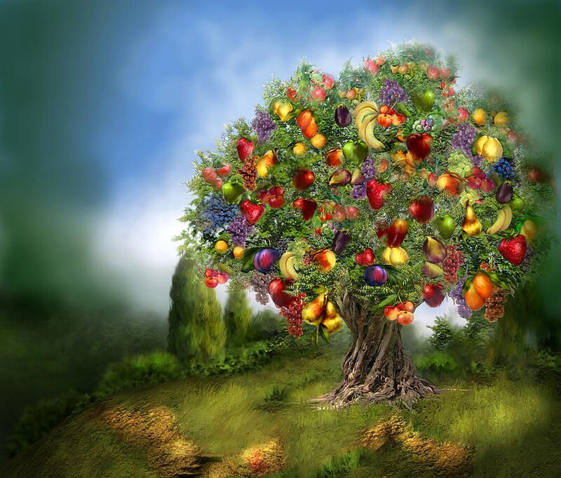 Fruit-laden Tree
