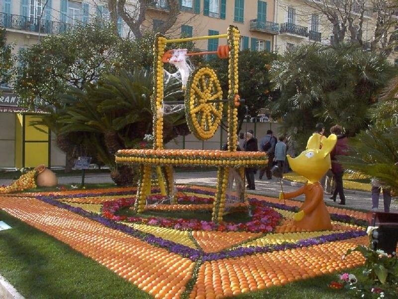 Fruit Sculpture Display — Orange