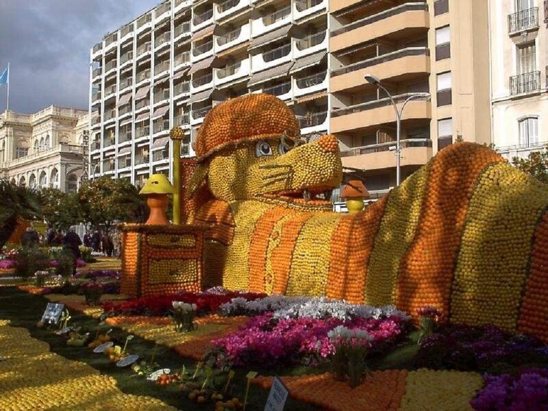 Fruit Sculpture of Cat
