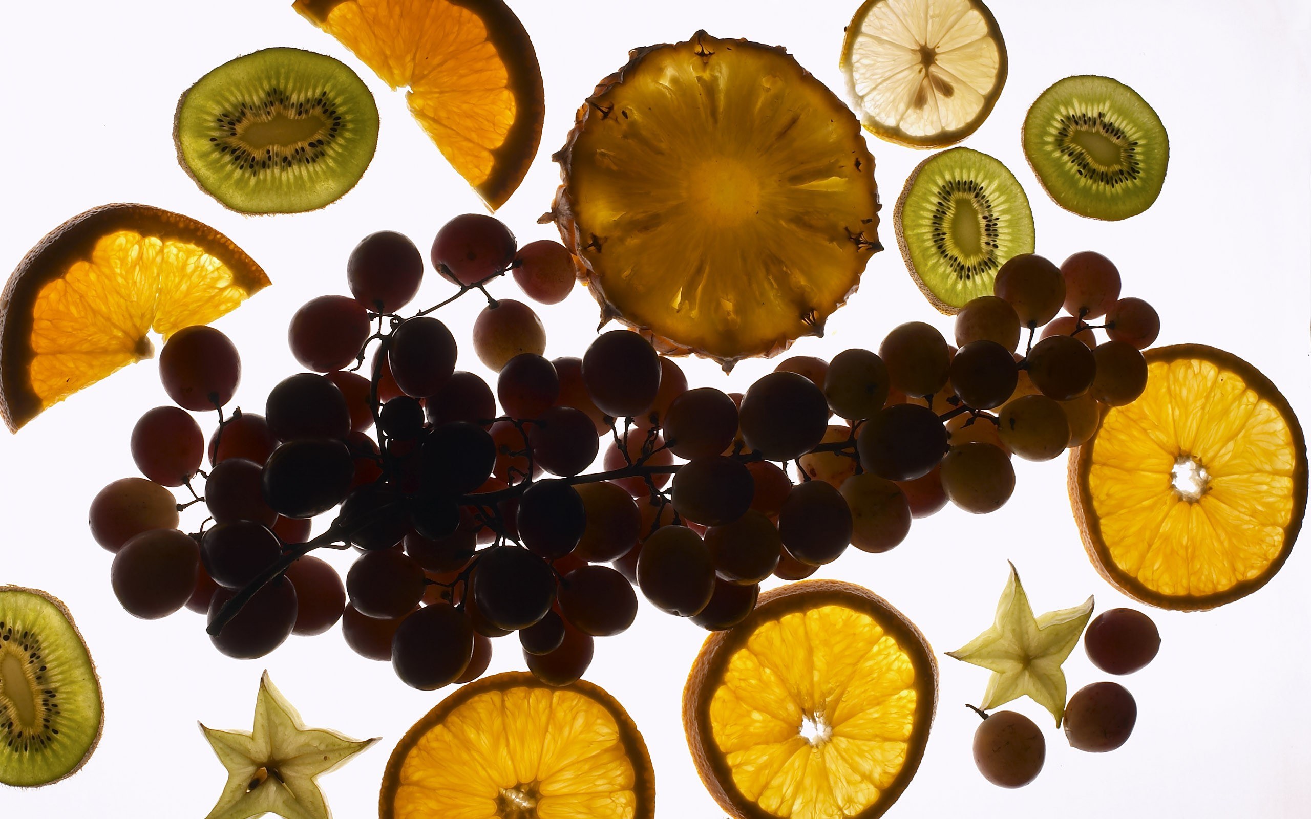 Fruit slices in backlight