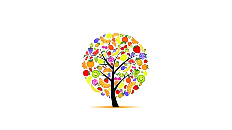 fruit tree illustration