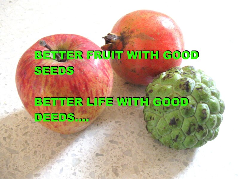 fruit with good seeds