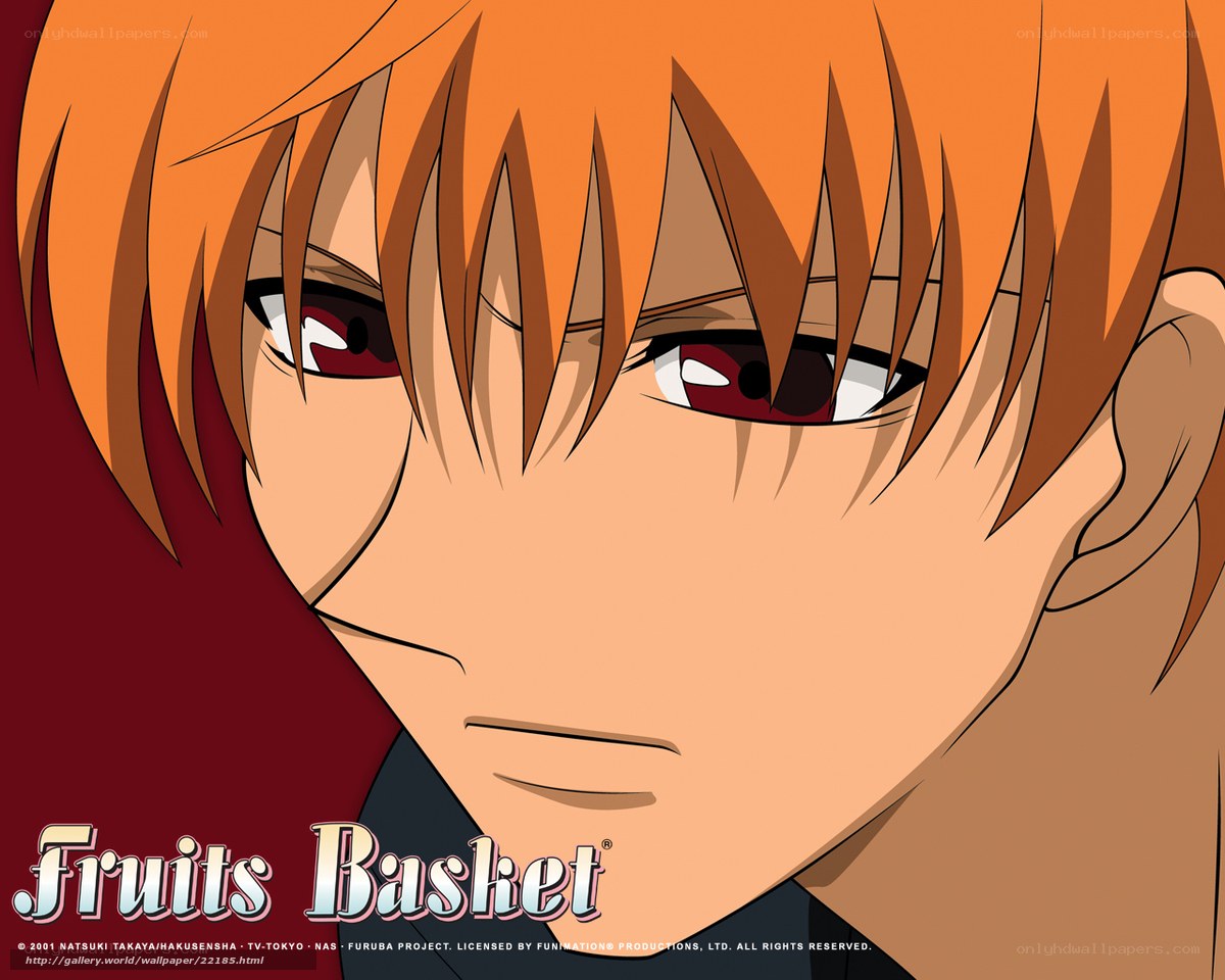 Fruits Basket anime character close-up