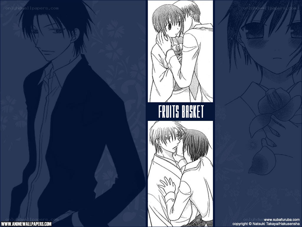 Fruits Basket anime collage