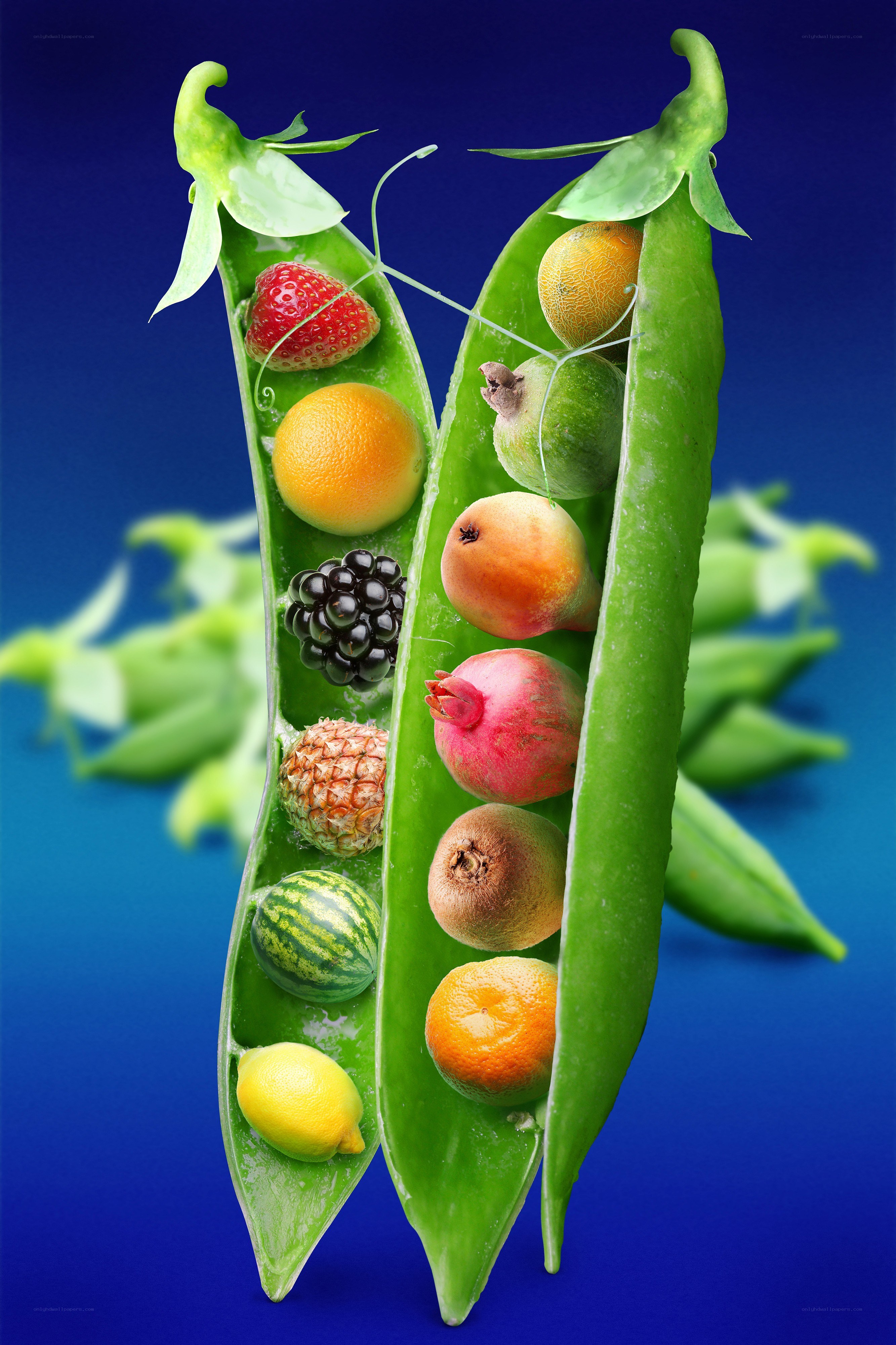 Fruits in a Pea Pod