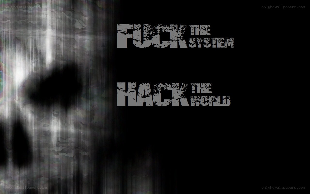 FUCK THE SYSTEM HACK THE WORLD