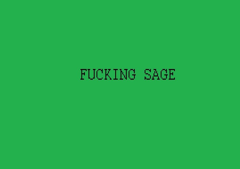 FUCKING SAGE text