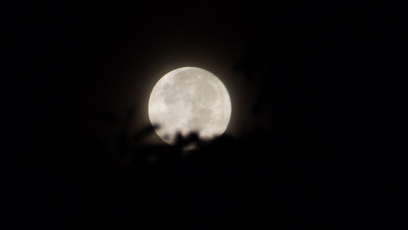 Full Moon at Night — Black, Serene