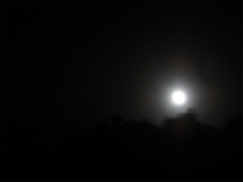 Full Moon at Night — Black