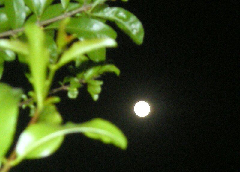 Full Moon at Night
