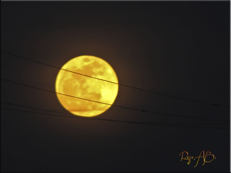 Full Moon at Night — Yellow