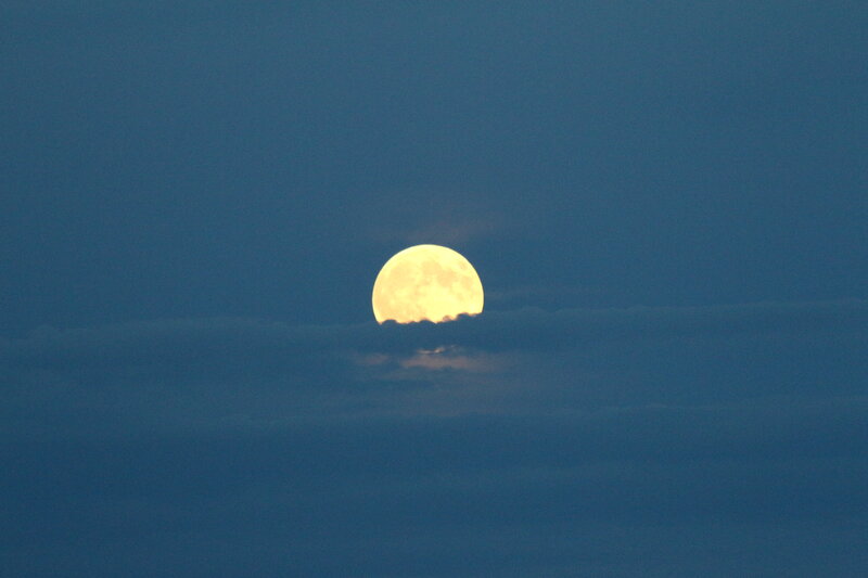 Full Moon Behind Clouds — Blue, Serene