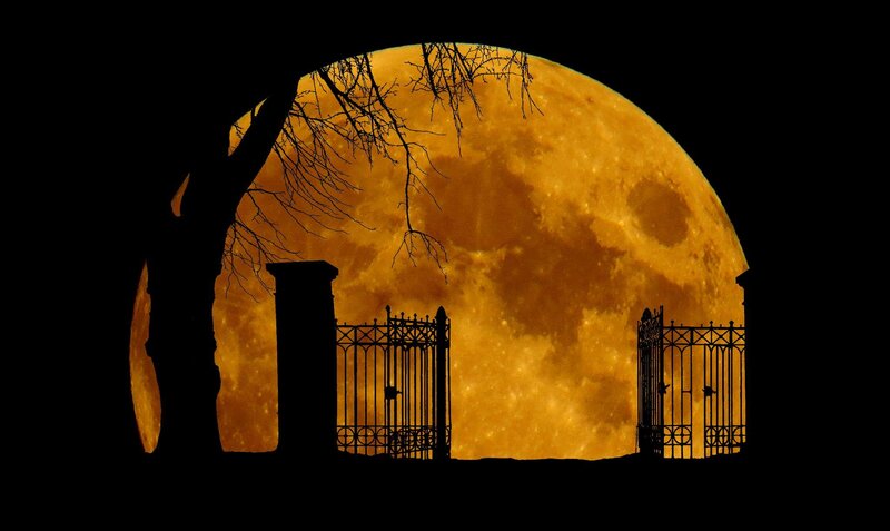 Full Moon Behind Gate