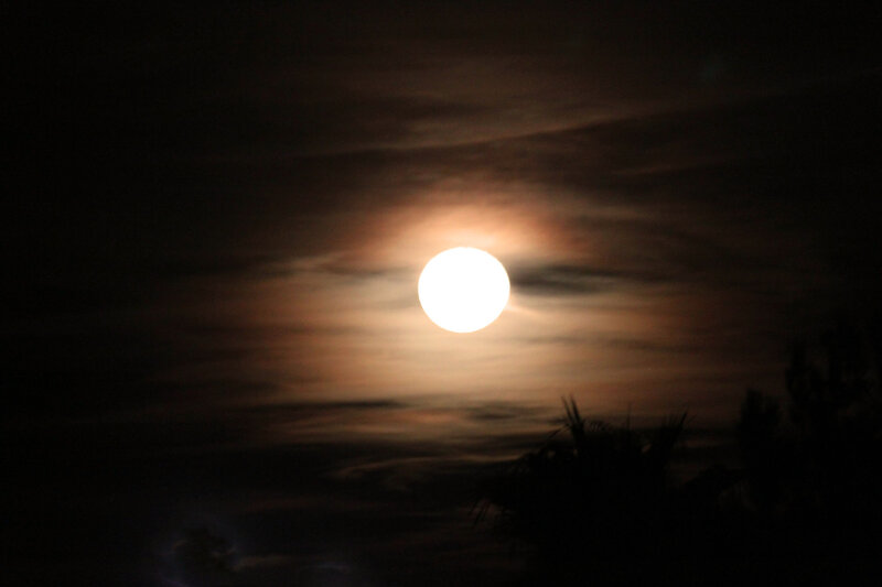 Full Moon in Cloudy Sky — Black, Dramatic, Night