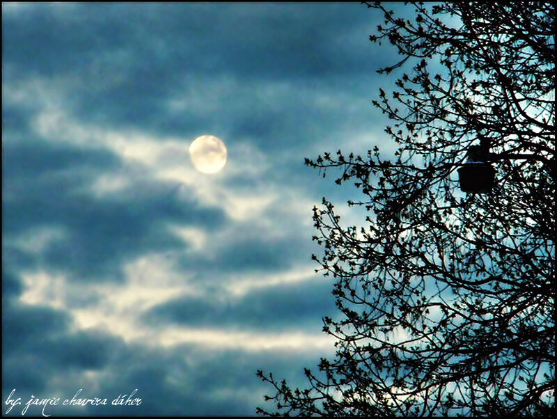 Full Moon in Cloudy Sky — Blue, Dramatic, Night, Photograph, Tree Branches