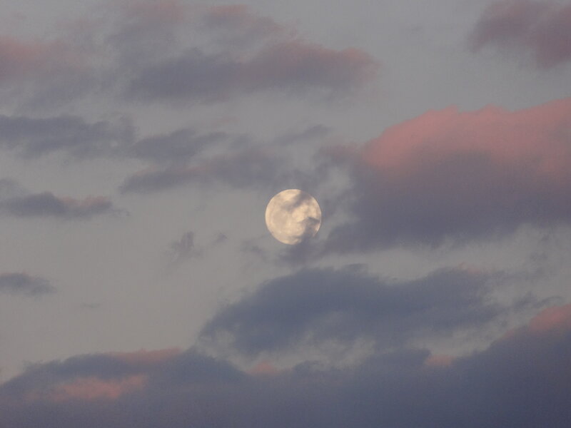 Full Moon in Cloudy Sky — Gray, Serene, Night