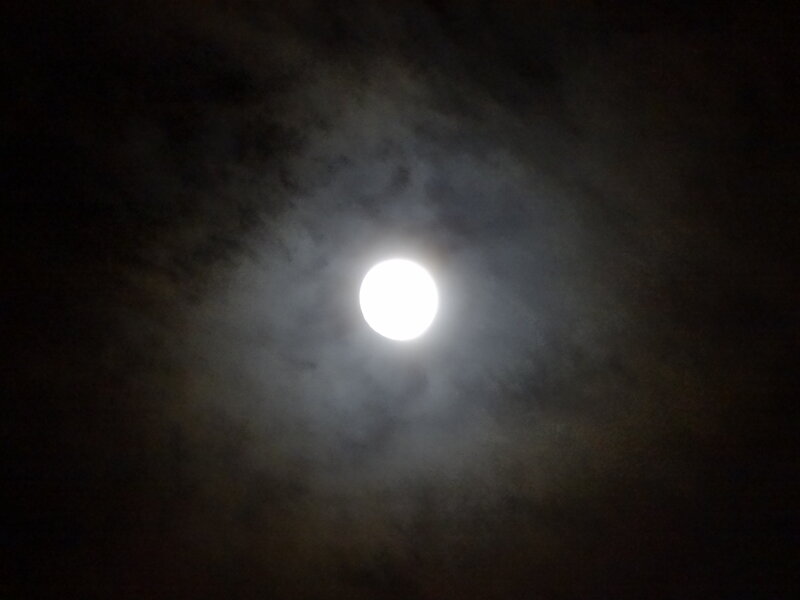 Full Moon in Cloudy Sky — White, Dramatic