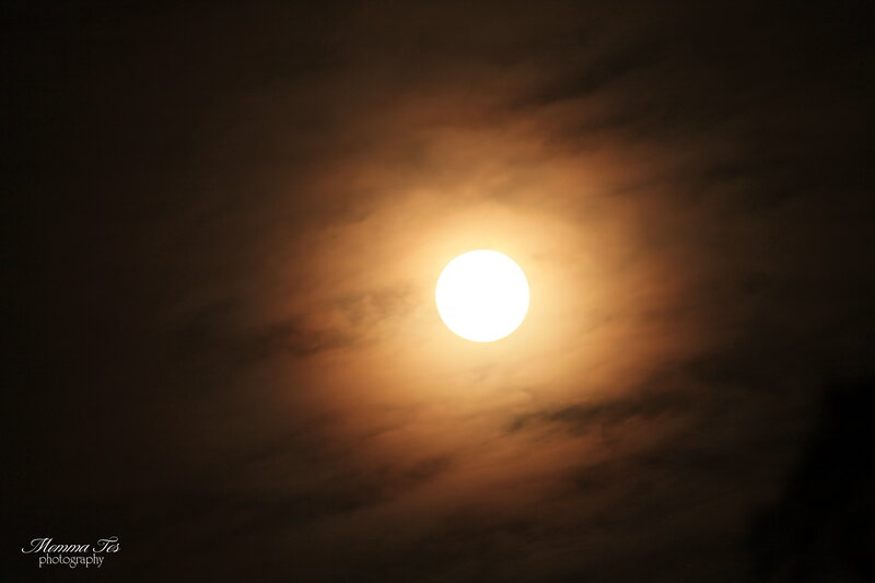 Full Moon in Cloudy Sky — Yellow, Dramatic