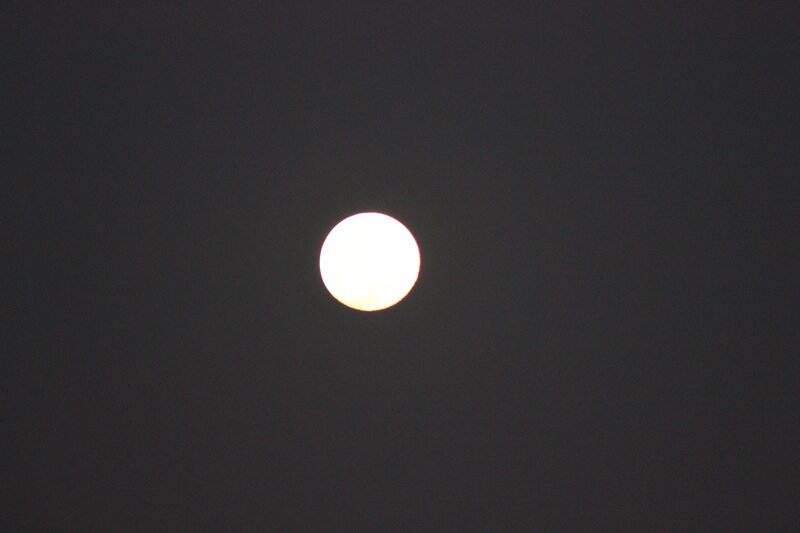 Full Moon in Dark Sky — Black
