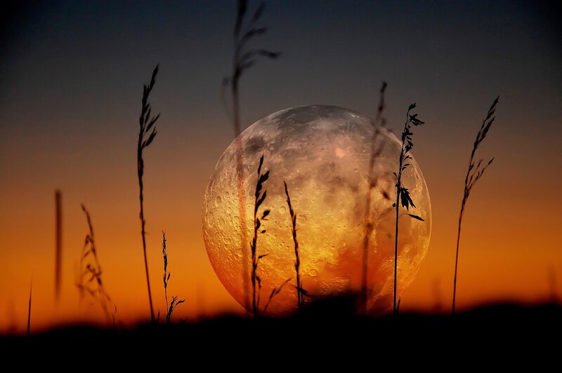 Full Moon in Field