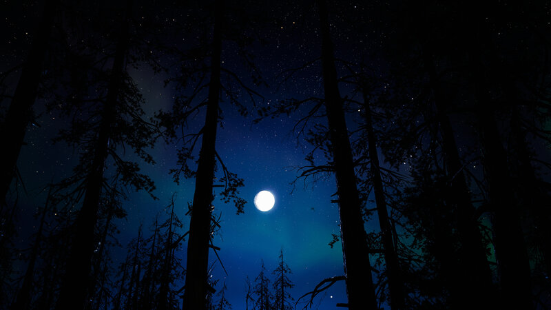 Full Moon in Forest — Blue, Serene, Night, 3d Render