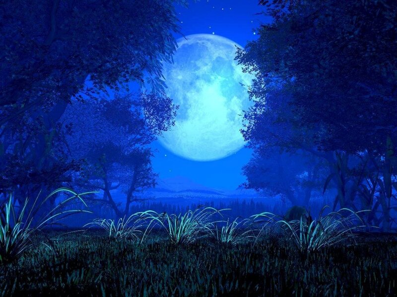Full Moon in Forest — Blue, Serene