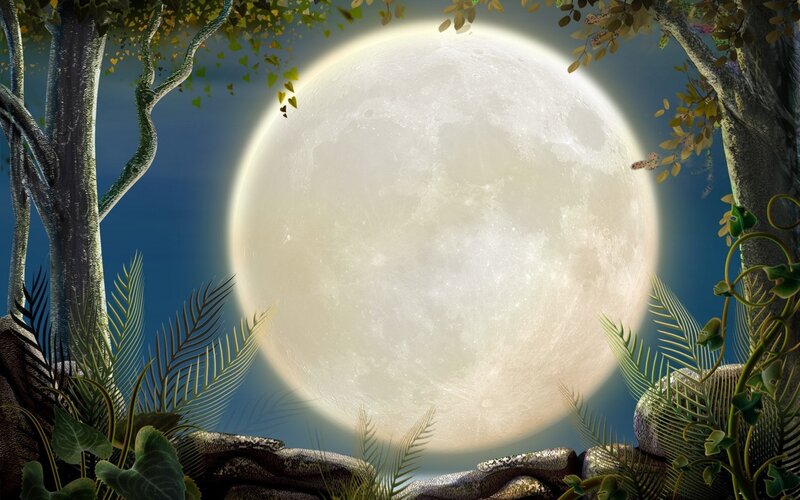 Full moon in forest clearing