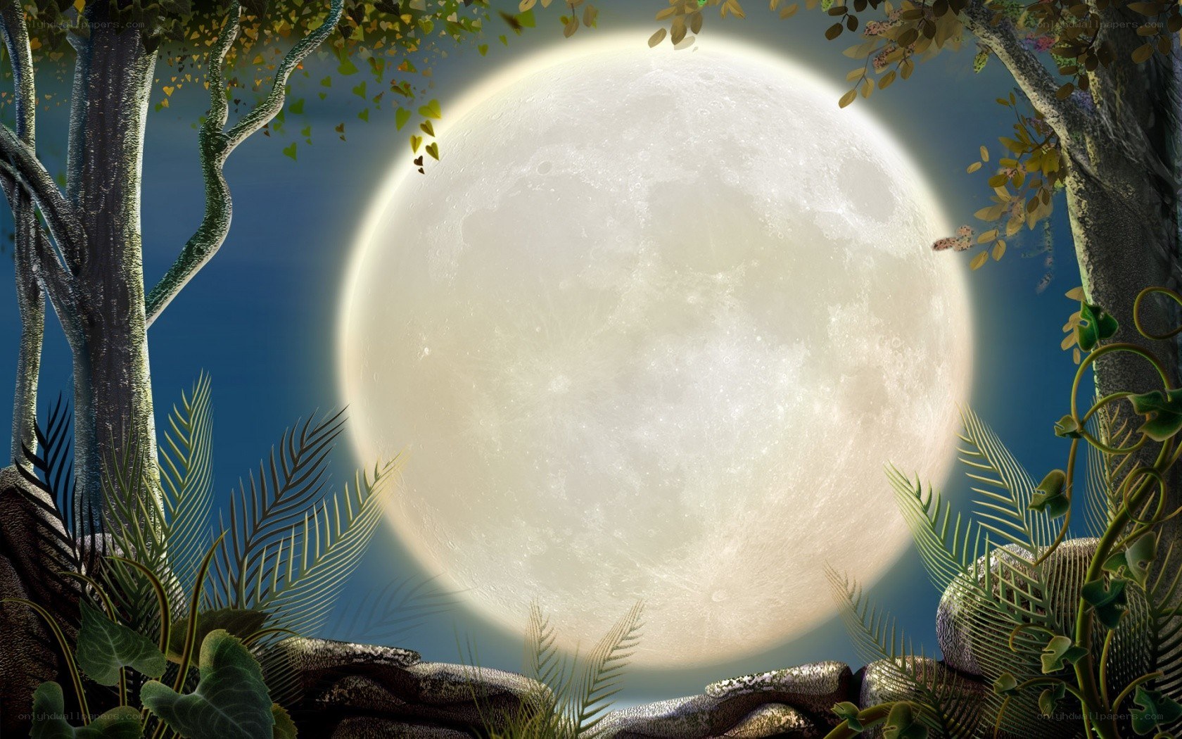 Full moon in forest clearing