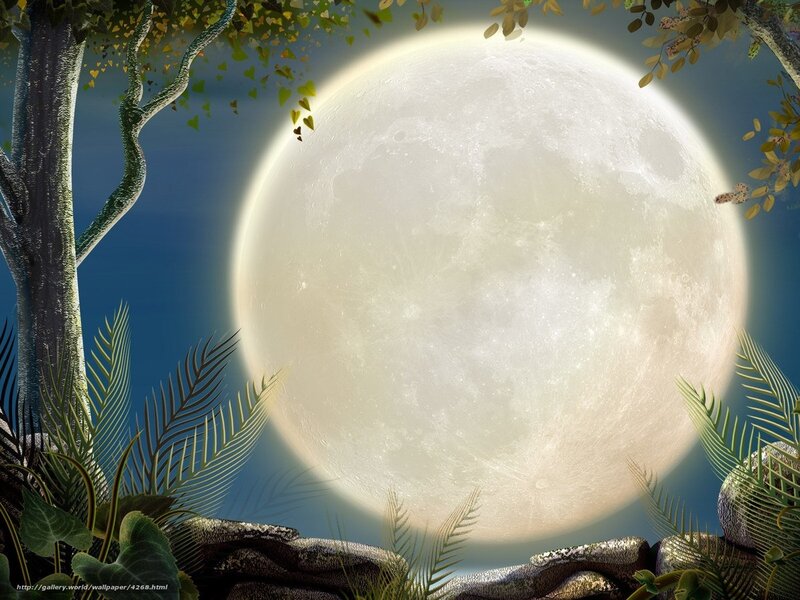Full moon in forest clearing