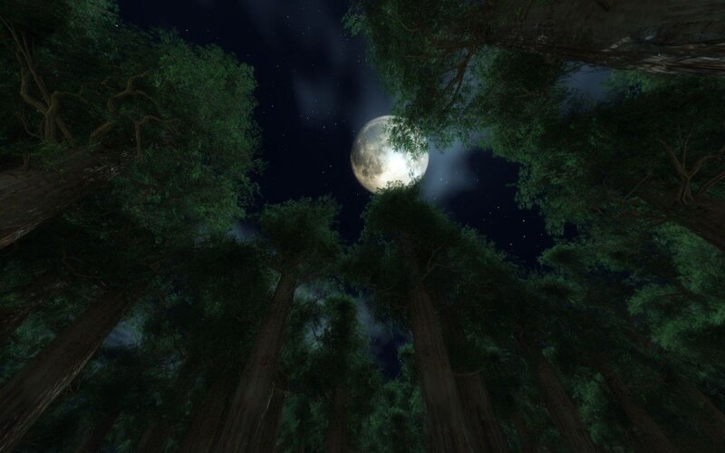 Full Moon in Forest — Green