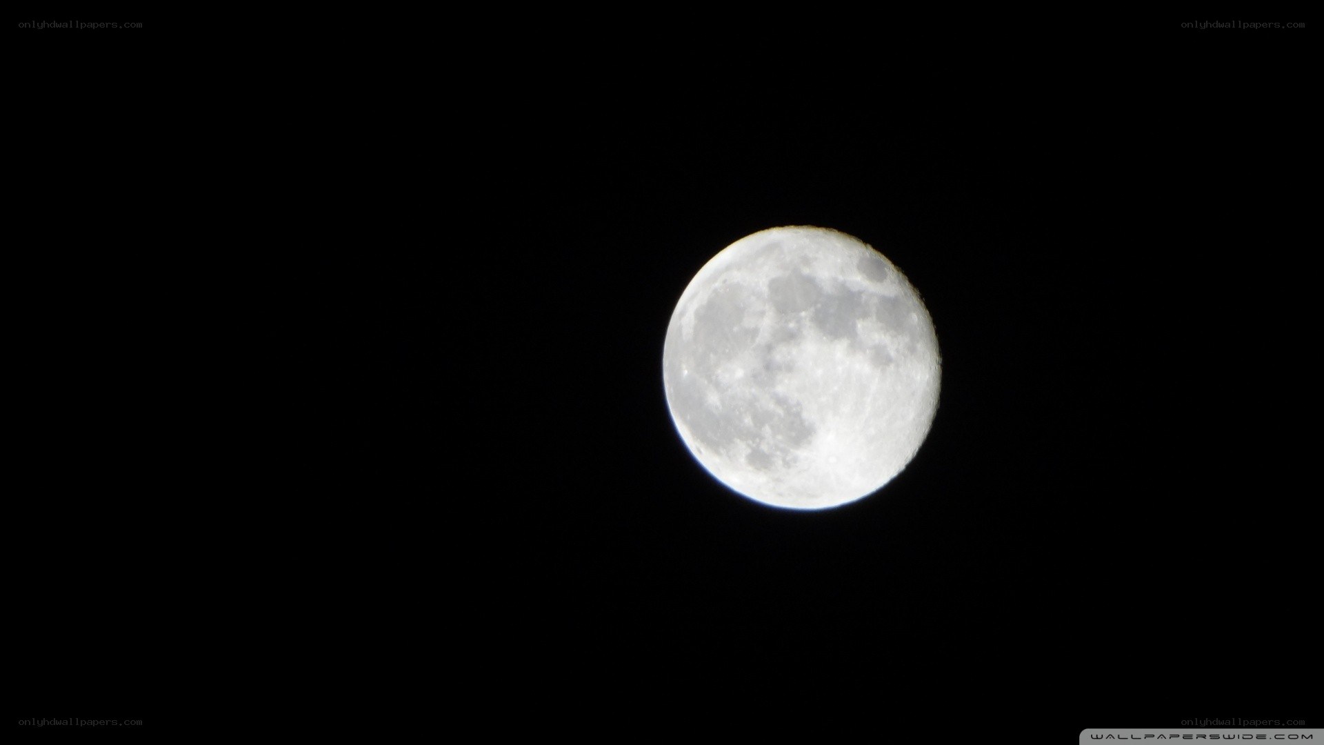 Full moon in night sky