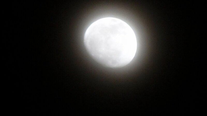 Full moon in night sky