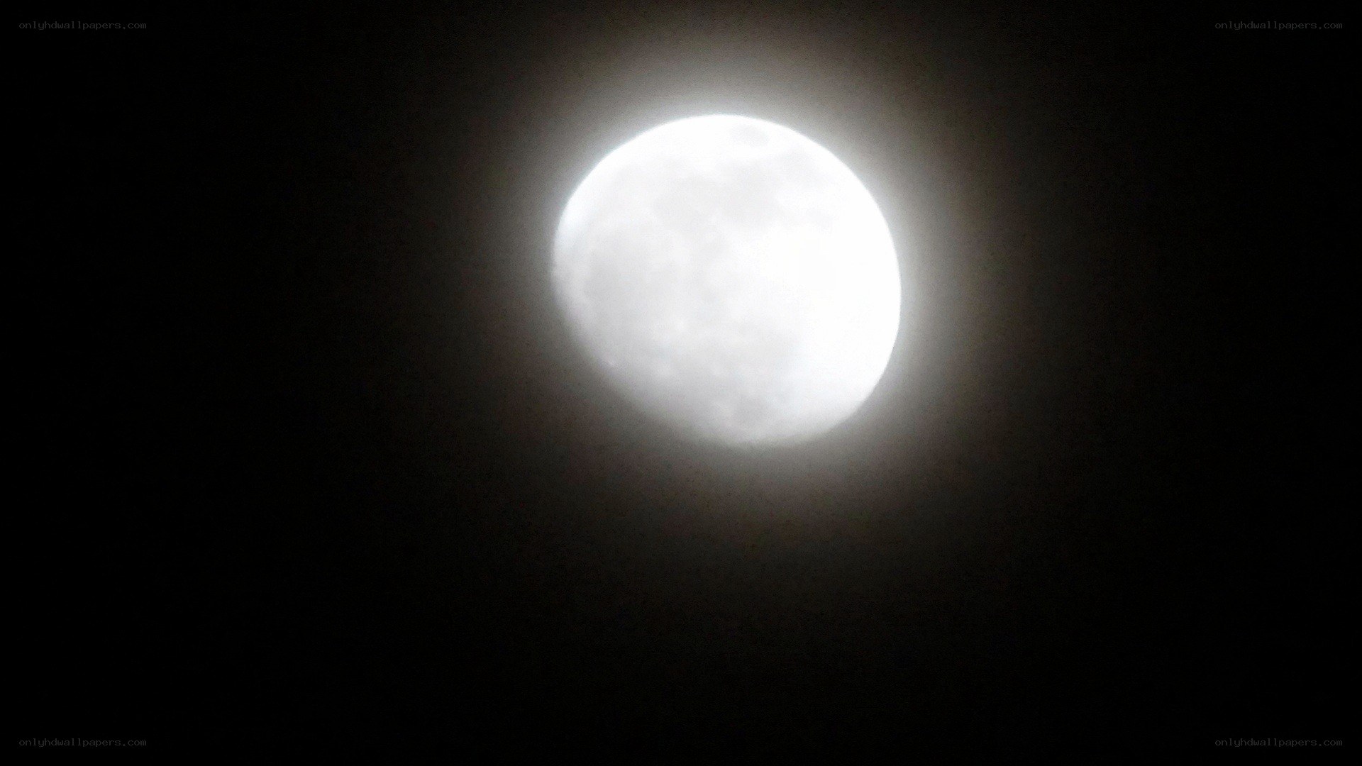Full moon in night sky