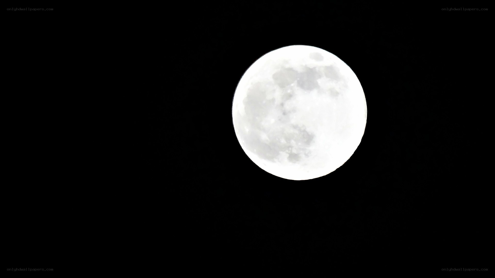 Full moon in night sky