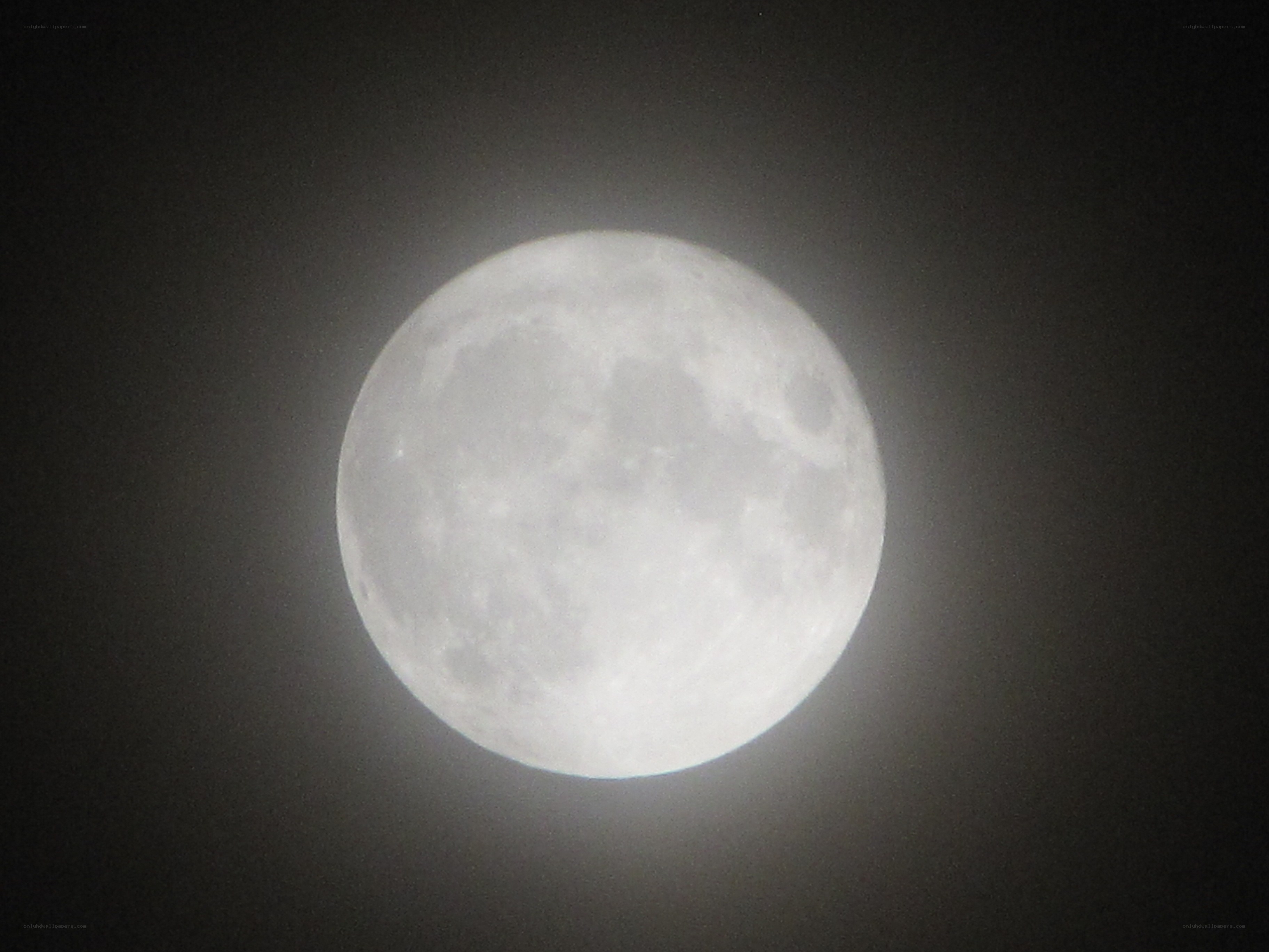 Full moon in night sky