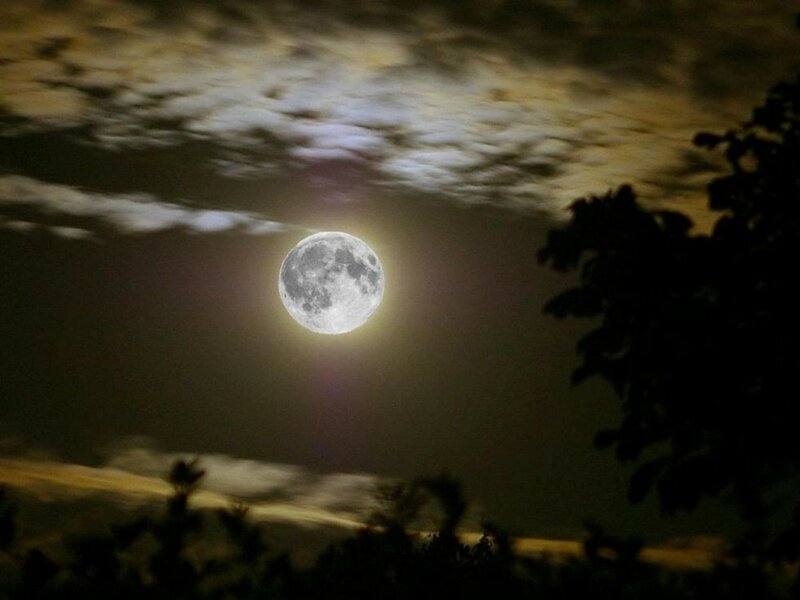Full Moon in Night Sky — Black, Serene, Photograph, Clouds, Trees