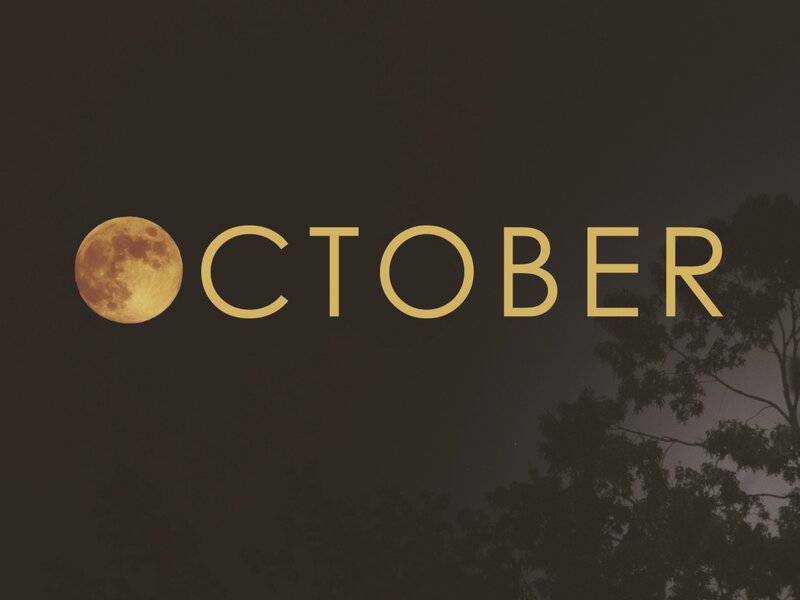 Full Moon in Night Sky — Black, Serene, Photograph, Trees, Text