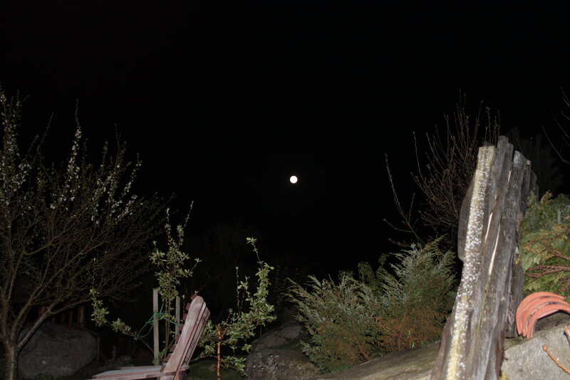 Full Moon in Night Sky — Black, Serene, Photograph, Trees