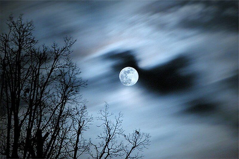 Full Moon in Night Sky — Blue, Dramatic, Photograph