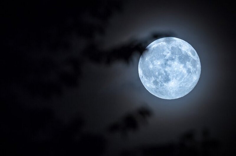 Full Moon in Night Sky — Blue, Serene, Photograph, Clouds, Tree Branches